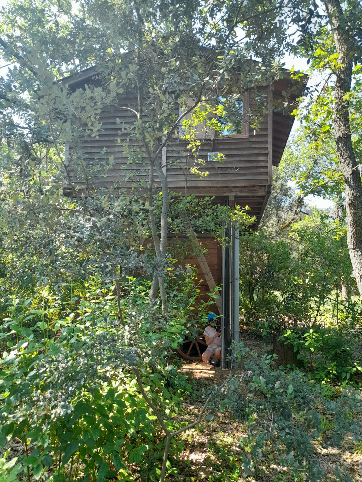 Laser game en plein air et en pleine nature dans le Vaucluse